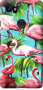 

Чехол Tropical background для Google PixeL 2 XL 778712