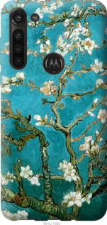 Чехол Винсент Ван Гог. Сакура для Motorola G8 Power