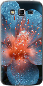 Чохол Роса на квітці на Samsung Galaxy Grand 2 G7102