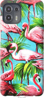 

Чехол Tropical background для Motorola Edge 20 Lite 1230856