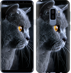 

Чохол Гарний кіт на Samsung Galaxy S9 Plus 626632