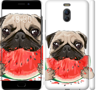 

Чехол Мопс и арбуз для Meizu M6 Note 843714