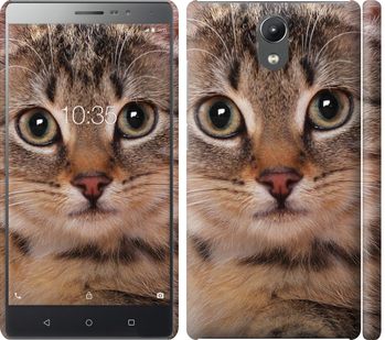 

Чохол Смугастий котик на Lenovo Phab 2 655418