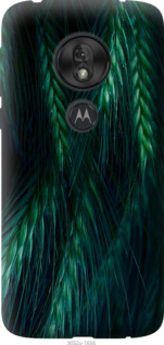 

Чохол Колоски на Motorola Moto G7 Play 942442