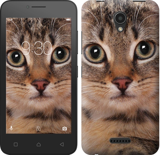 

Чохол Смугастий котик на Lenovo A Plus / A1010 175624