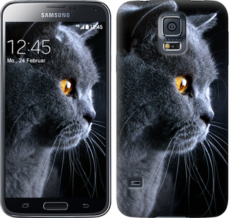 

Чохол Гарний кіт на Samsung Galaxy S5 Duos SM G900FD 242615