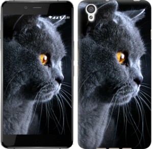 Чехол Красивый кот для OnePlus X