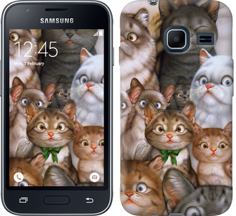 

Чохол коти на Samsung Galaxy J1 Mini J105H 476364