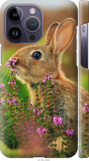 

Чохол Кролик і квіти на iPhone 14 Pro Max 1482565