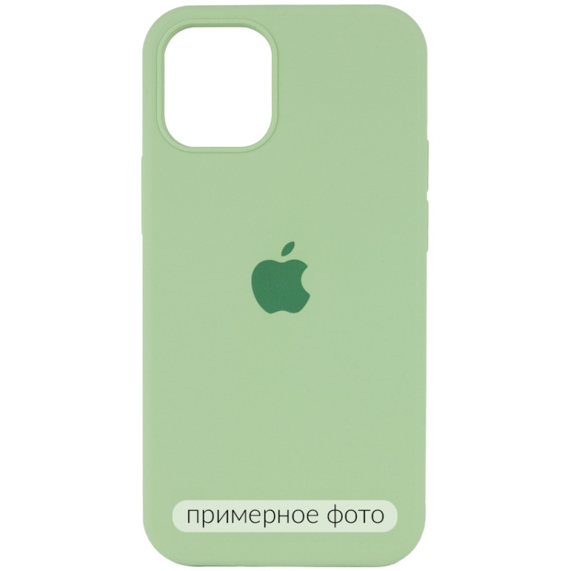 Чохол Silicone Case Full Protective (AA) на Apple iPhone 16 (6.1") (М'ятний / Mint)