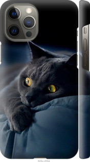 Чохол Димчастий кіт на iPhone 12 Pro Max