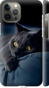 Чохол Димчастий кіт на iPhone 12 Pro Max