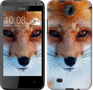 

Чехол Рыжая лисица для HTC Desire 300 78593