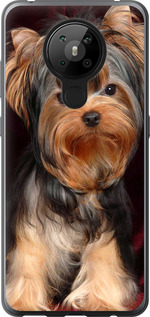 

Чехол Йоркширский терьер для Nokia 5.3 1634914