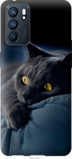 Чохол Димчастий кіт на Oppo Reno6 5G
