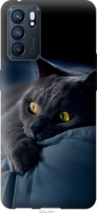 Чехол Дымчатый кот для Oppo Reno6 5G