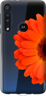 

Чехол Гербера 1 для Motorola One Macro 1589635
