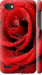Чехол Красная роза для LG Q6