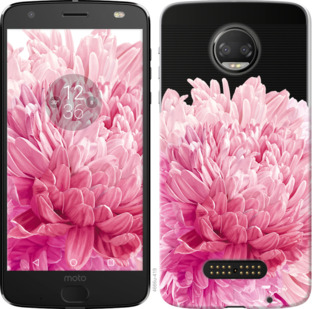 

Чохол Хризантема на Motorola Moto G5 PLUS 844615