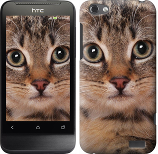 

Чохол Смугастий котик на HTC One V t320e 175588