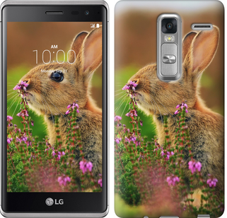 

Чехол Кролик и цветы для LG H650E Class 150007