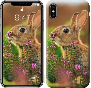 

Чохол Кролик і квіти на iPhone XS Max 677385