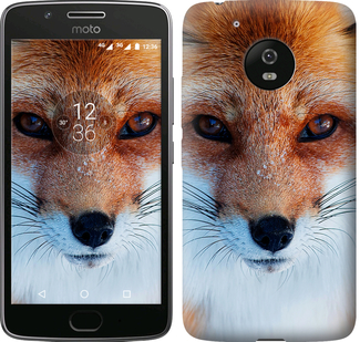 

Чехол Рыжая лисица для Motorola Moto G5 604634