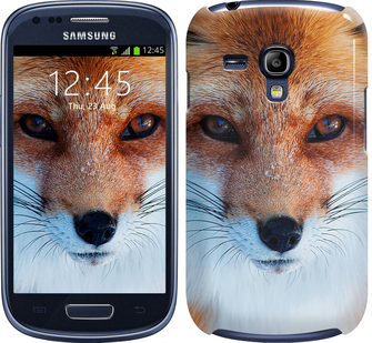 

Чехол Рыжая лисица для Samsung Galaxy S3 mini 78520