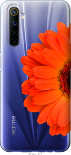 

Чехол Гербера 1 для Realme 6 957955
