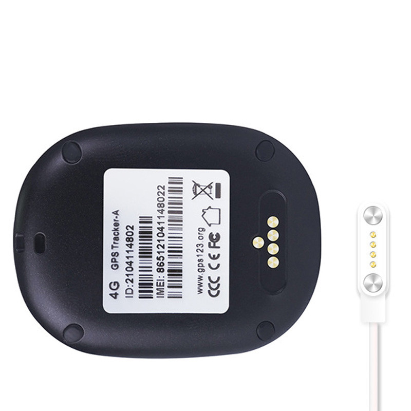 Купить Трекер GPS V45 Tracker Pendant with display SIM (4GLTE with 2GGSM fallback) 600mAh (Black) на vchehle.ua