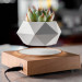 Фото Магнитный левитационный вазон для цветов HCNT Magnetic Levitating Pot M10-FP (Wood Grain) в магазине vchehle.ua