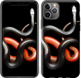 

Чехол Красно-черная змея на черном фоне для iPhone 11 Pro 782219