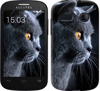 

Чехол Красивый кот для Alcatel One Touch Pop C3 4033D 242667