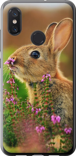 

Чохол Кролик і квіти на Xiaomi Mi8 677409