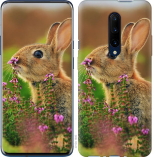 

Чохол Кролик і квіти на OnePlus 7 Pro 742786