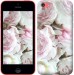 Чехол Пионы v2 для iPhone 5c
