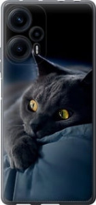 Чехол Дымчатый кот для Xiaomi Redmi Note 12 Turbo