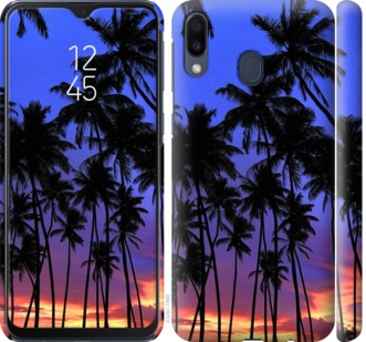 

Чохол Пальми на Samsung Galaxy M20 758908