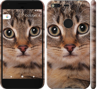 

Чехол Полосатый котик для Google Pixel XL 175905