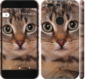 Чехол Полосатый котик для Google Pixel XL