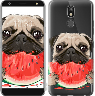 

Чехол Мопс и арбуз для LG K40 843646
