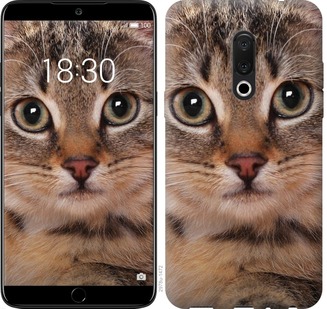 

Чохол Смугастий котик на Meizu 16th 675816
