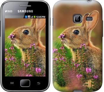 

Чехол Кролик и цветы для Samsung Galaxy Ace Duos S6802 149904
