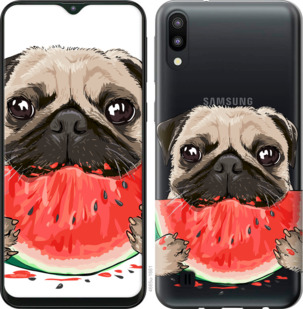 Чехол Мопс и арбуз для Samsung Galaxy A01 A015F