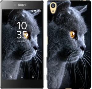 Чехол Красивый кот для Sony Xperia Z5 E6633