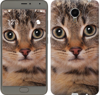 

Чохол Смугастий котик на Meizu Metal 175723