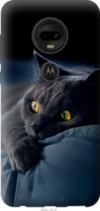 Чехол Дымчатый кот для Motorola Moto G7