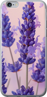 Чехол Лаванда для iPhone 6s Plus