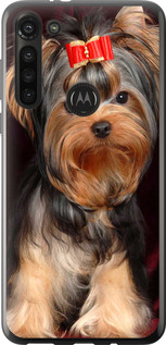 

Чохол Нарисованный йоркширский терьер для iPhone на Motorola G8 Power 1634928