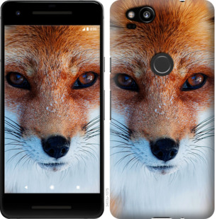 

Чохол Руда лисиця на Google Pixel 2 779672